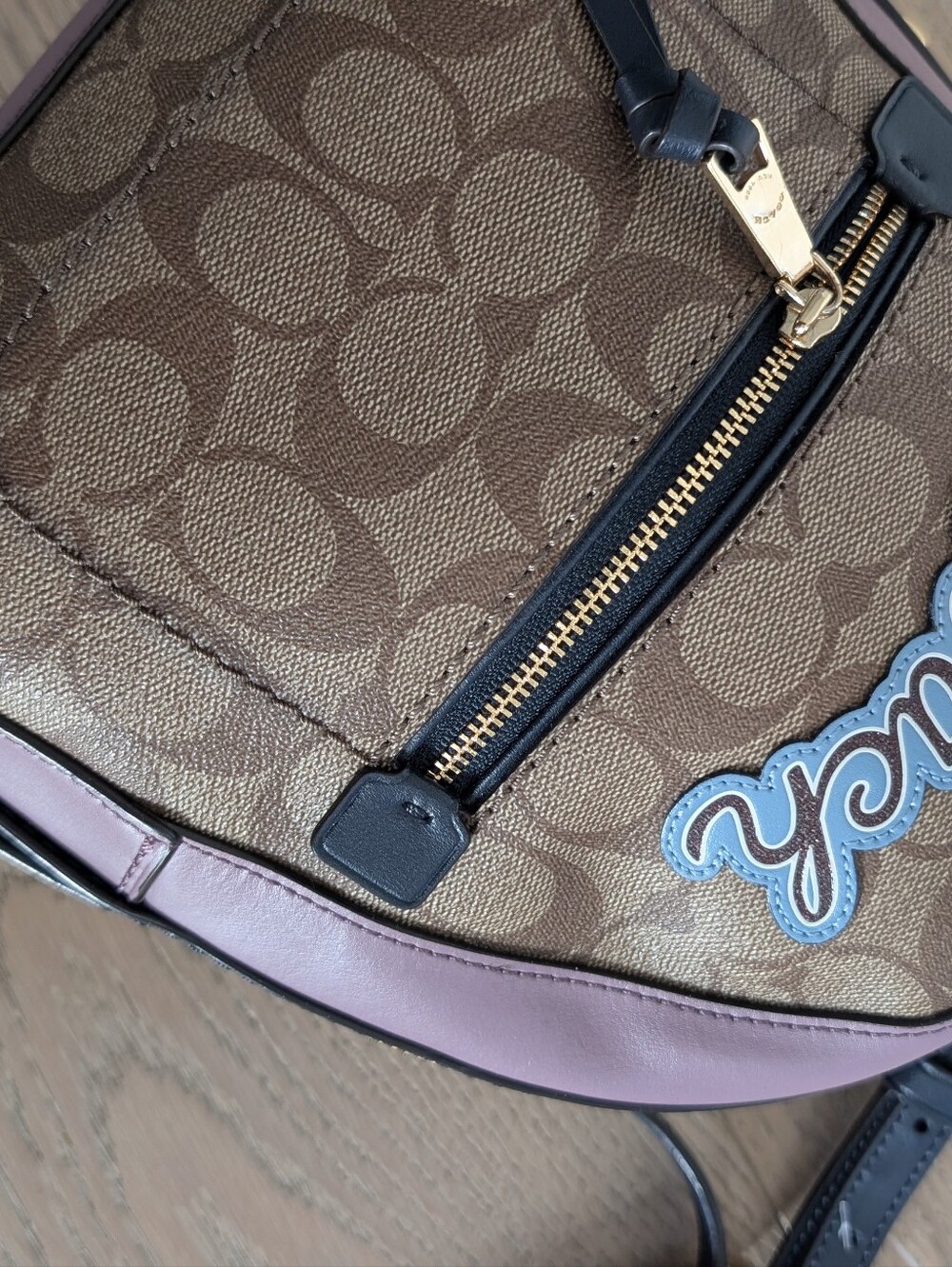 Coach Backpack/Crossbody - Picture 10 of 13